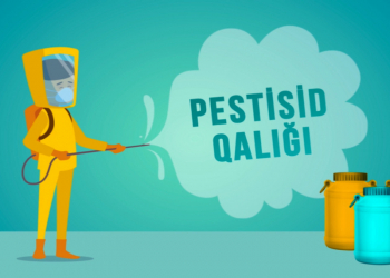 Pestisidlərdən istifadə qaydaları haqqında videoçarx hazırlanıb