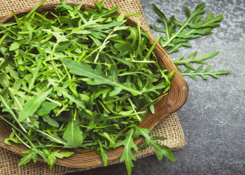 Vegetarian saatının maraqlı resepti