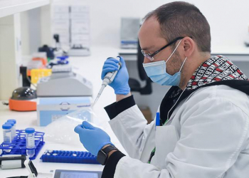 İspaniyada ilk dəfə insanlarda siçovul hepatiti aşkar edilib