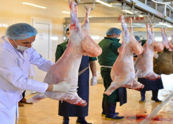 AQTA: Qurban bayramı ilə bağlı hazırlıq işləri davam edir