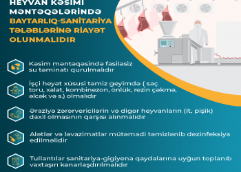 Qurbanlıq heyvanın kəsimi zamanı hansı tələblərə riayət edilməlidir?