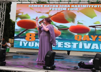 Ərik festivalı keçirildi
