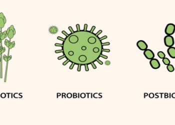 Postbiotiklər nədir və onlar necə faydalıdır?