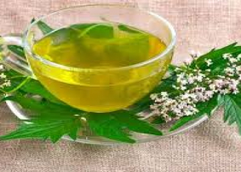 Yaxşı yatmaq üçün axşamlar çaya nə qatmaq olar?