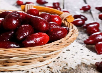 Zoğalın möcüzəvi faydaları