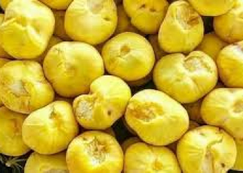 Təbiətin bizə bəxş etdiyi möcüzəvi meyvə
