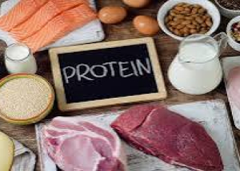 Yüksək proteinli pəhrizlər