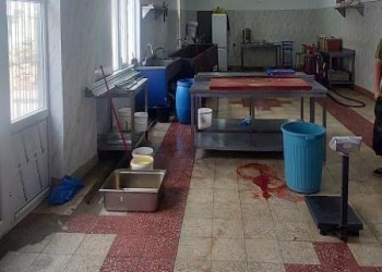 Bakıda qanunsuz fəaliyyət göstərən çiy dönər emalı müəssisəsi aşkarlanıb