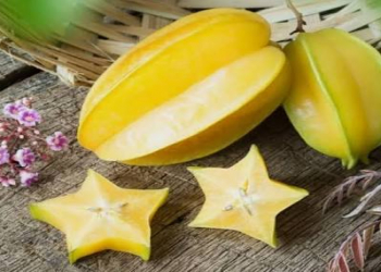 Karambola nədir ?
