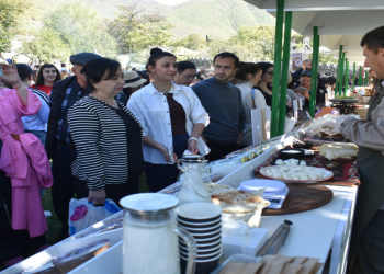 Şəki “Terra Madre” qastronomiya festivalına ev sahibliyi edib