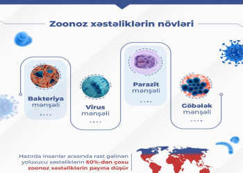Zoonoz xəstəliklər – insan və heyvan sağlamlığı üçün təhlükə