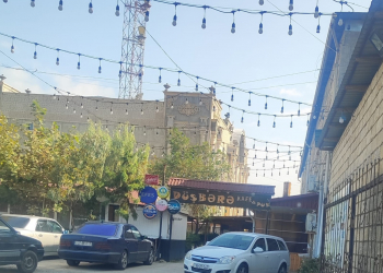 İki kafedə çöl quşlarının baytar nəzarəti olmadan saxlanıldığı aşkarlanıb