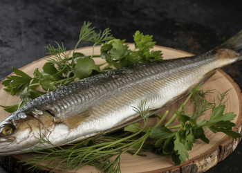 Qış aylarında enerji üçün yağlı dəniz balığı vacibdir