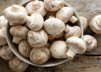 Göbələk istehlak edərkən nələrə diqqət etməli?