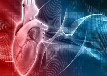 Ürəyi yormayan qidalar açıqlandı