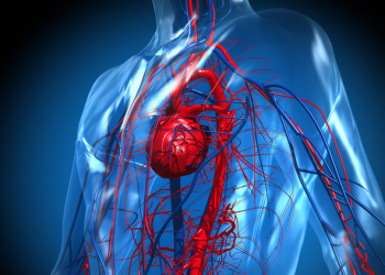 Kalium ürəyin sağlam fəaliyyəti üçün vacibdir