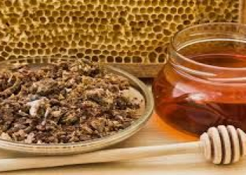 Revmatizmin müalicəsi... – Türkəçarə