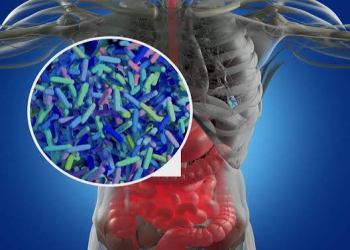 Bağırsaq bakteriyaları sağlamlığın əsas qoruyucusudur