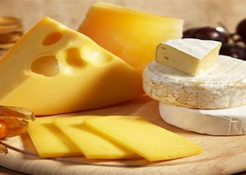 Pendirin faydaları nələrdir?