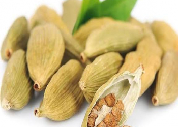 Təbii sağlamlıq və enerji mənbəyi