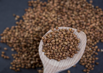 Qarabaşağın bədən üçün dəyəri