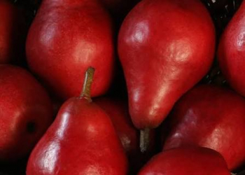 Armudun faydaları nələrdir?