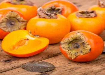 Xurma sağlamlıq üçün faydalıdır, amma həddi aşmaq olmaz