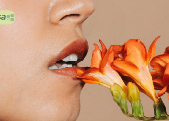 Sağlam dodaqların sirri nədir?