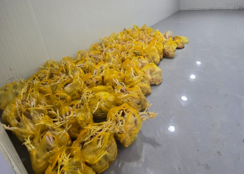 Qanunsuz və antisanitar şəraitdə fəaliyyət göstərən quş kəsimi sexinin fəaliyyəti məhdudlaşdırılıb