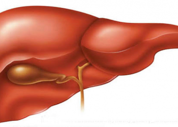 Ən tez sağalan orqan hansıdır.