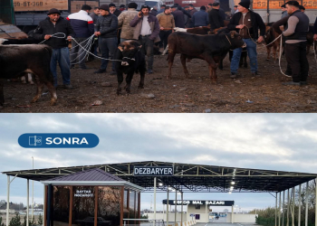 Bərdə heyvan satışı bazarı fəaliyyətə başlayıb