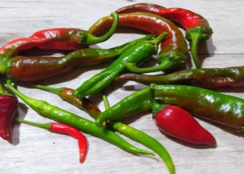 Həddindən artıq acı qida qəbulu hansı fəsadlara yol aça bilər