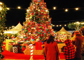 İlin son dəqiqələrində nələr edə bilərik?