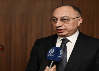 AQTA sədri: Azərbaycanda qəhvəyi mərmər bağacığı ilə mübarizə gələn il də aktual olacaq