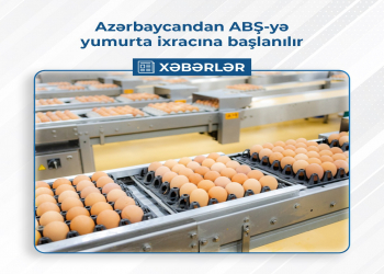 Azərbaycandan ABŞ-yə yumurta ixracına başlanılır