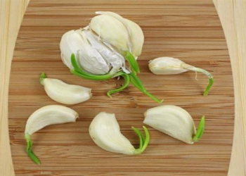 Cücərmiş sarımsağı atmaq lazımdır?