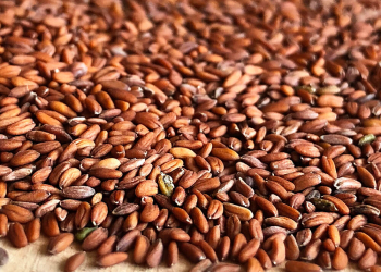 Xurma toxumu hormonal tarazlığı tənzimləyir