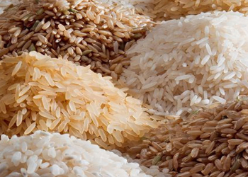 Bu cür düyülər uşaqlar üçün təhlükəli ola bilər