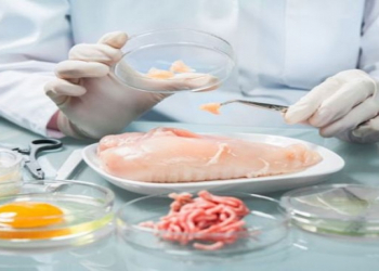 Proteinləri necə əldə etmək olar?