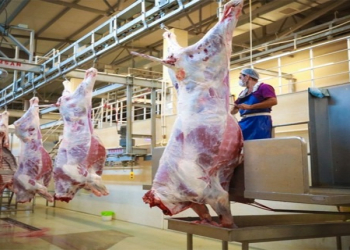 Qurbanlıq heyvanların satışı və kəsimi xidmətləri göstəriləcək ünvanlar açıqlandı