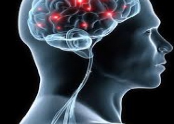 Parkinsonu tətikləyən qidalar