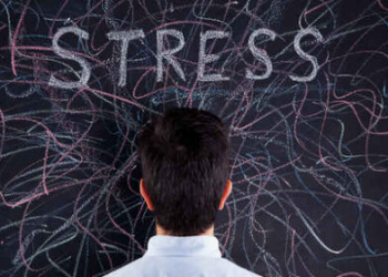 Stress hormonunu azaldan 6 təbii məhsul