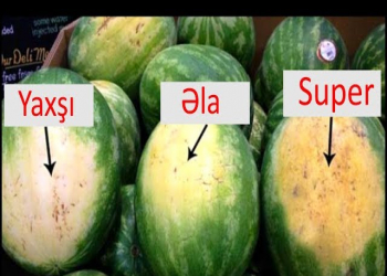 Qarpızı necə seçməli? - Həkimdən AÇIQLAMA