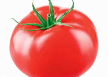 Gün ərzində nə qədər pomidor yemək olar?
