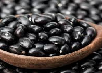 Qara lobya bağırsaq sağlamlığının əsas açarıdır