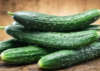 Qəbizlik üçün hansı qidalar yaxşıdır?