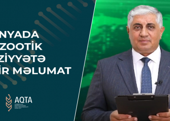Dünyada epizootik vəziyyətə dair – VİDEOMƏLUMAT