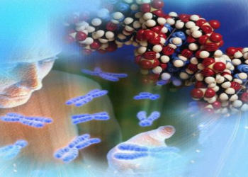 Alimlər virus zülalları üçün ən böyük məlumat bazasını təqdim ediblər