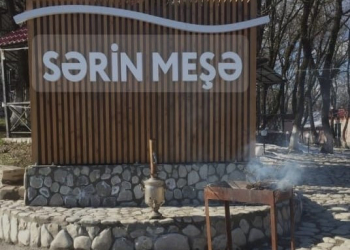 “Sərin Meşə” restoranında nöqsanlar aşkarlanıb