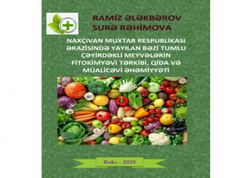 Meyvələrdən xəstəliklərlərin müalicəsində necə istifadə etmək olar?